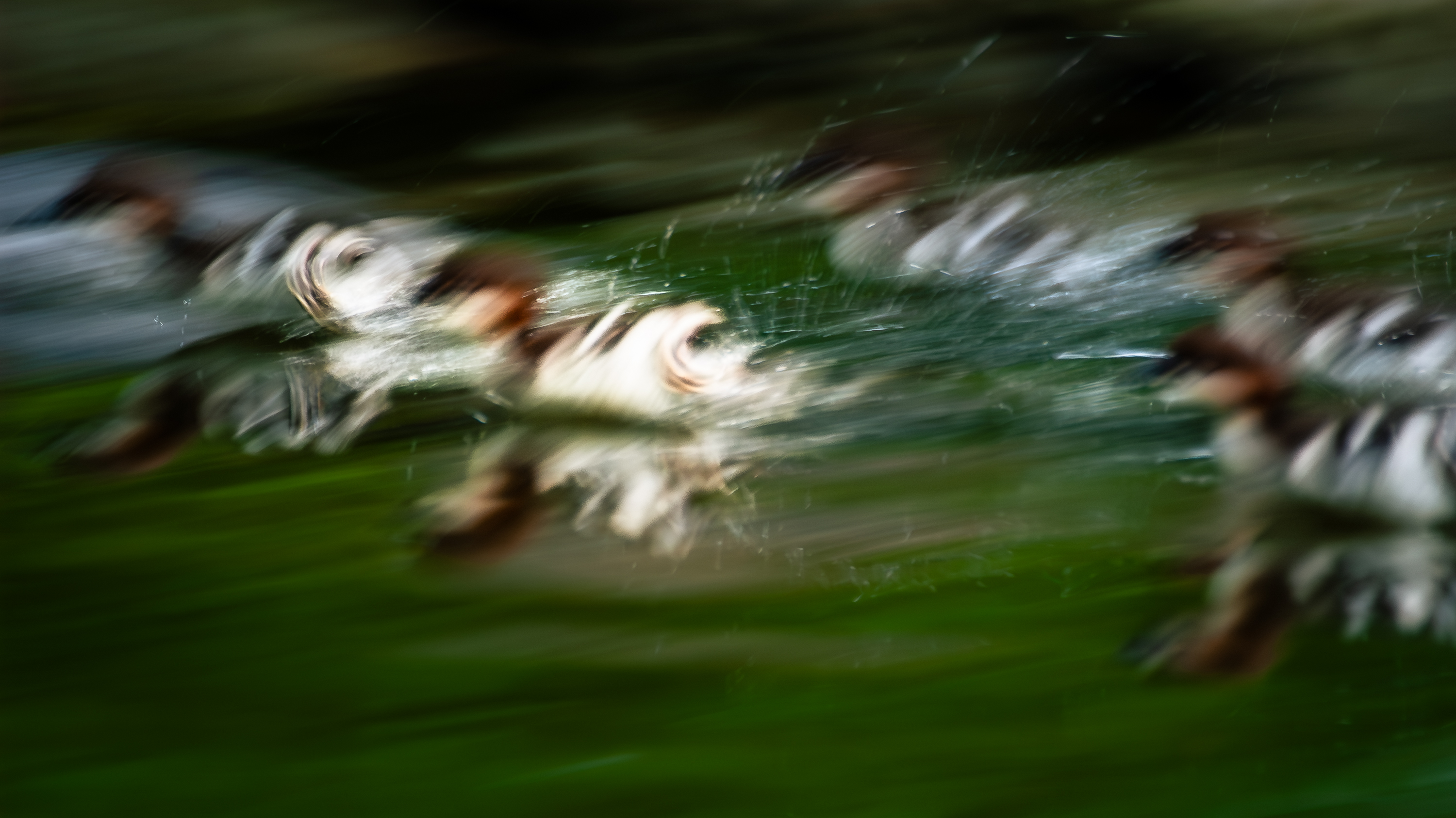 VHS Nymphenburg - 02154